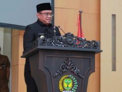 Bupati Luwu Patahudding Pembangunan Sentra Penggilingan Padi Modern di Walenrang